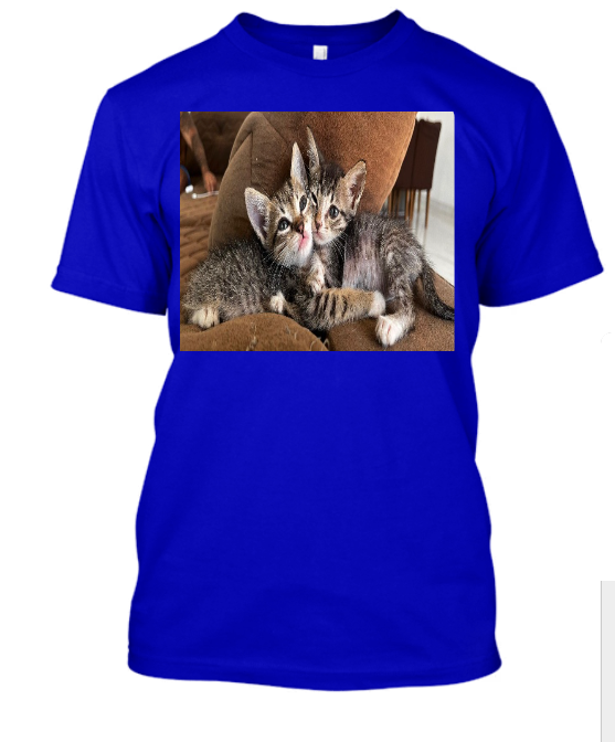 CAMISA PERSONALIZADA PETS CATS