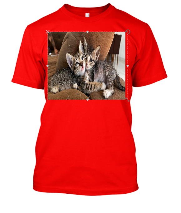 CAMISA PERSONALIZADA PETS CATS
