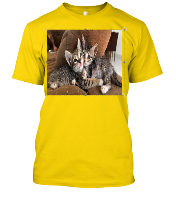 CAMISA PERSONALIZADA PETS CATS
