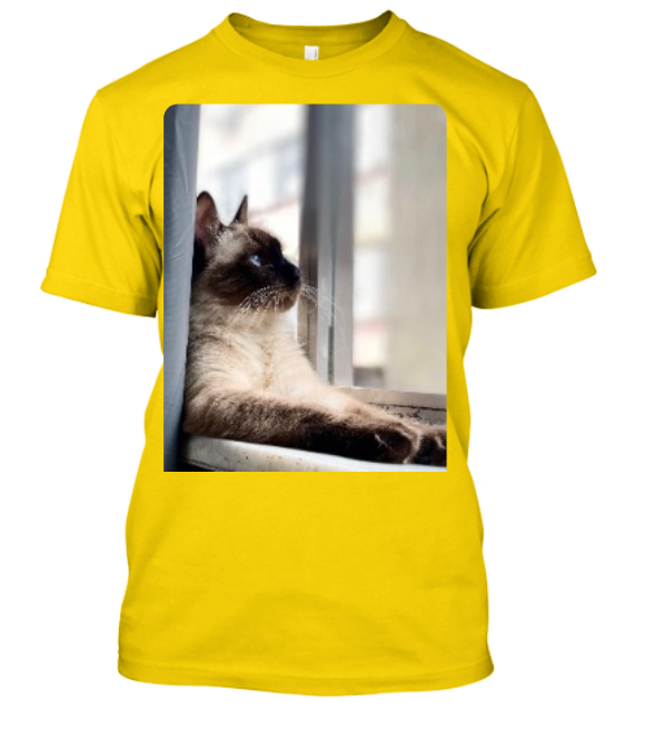 CAMISA PERSONALIZADA PETS CATS