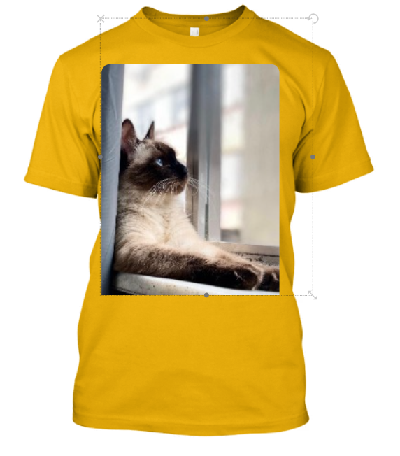 CAMISA PERSONALIZADA PETS CATS
