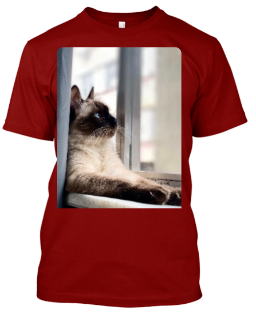 CAMISA PERSONALIZADA PETS CATS