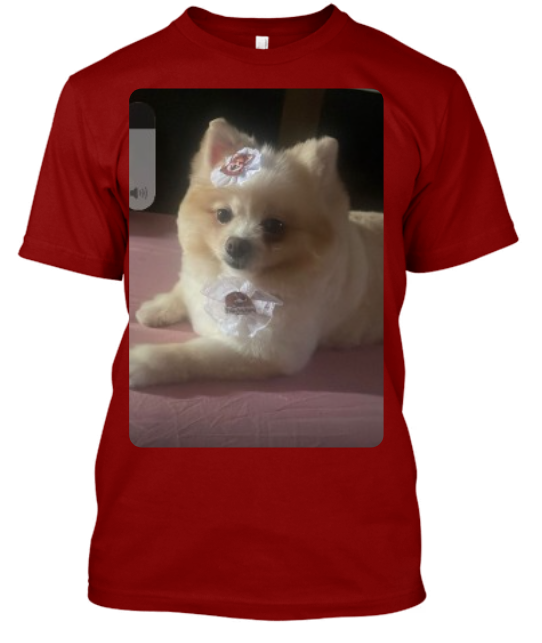 CAMISA PERSONALIZADA PETS