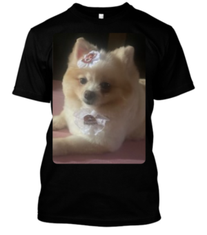 CAMISA PERSONALIZADA PETS
