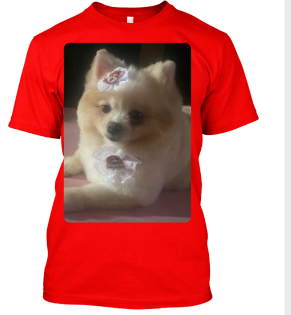 CAMISA PERSONALIZADA PETS