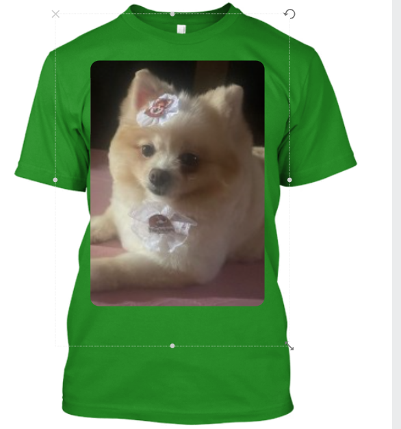 CAMISA PERSONALIZADA PETS