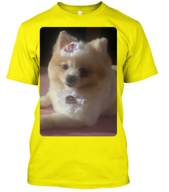 CAMISA PERSONALIZADA PETS