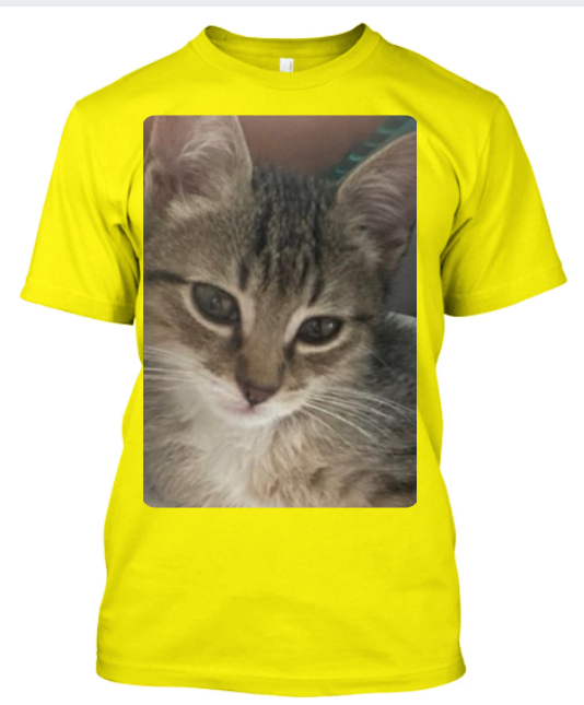 CAMISA PERSONALIZADA PETS CATS