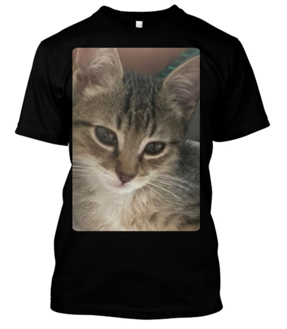 CAMISA PERSONALIZADA PETS CATS